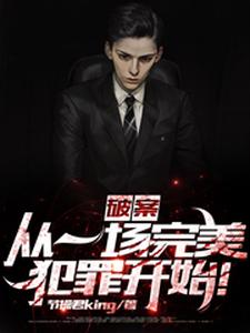 已完结小说《破案：从一场完美犯罪开始！》在线章节阅读
