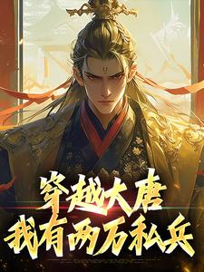 宋余飞魏淑玉小说完结版在线阅读，穿越大唐，我有两万私兵免费看