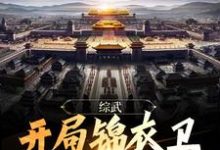 综武:开局锦衣卫,无敌镇山河!小说有没有完结版在线?-够力荐小说推荐网