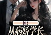 惊！从病娇学长身边逃跑失败了小说有没有完结版在线？-够力荐小说推荐网