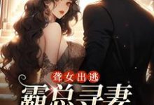 《聋女出逃,霸总寻妻惊动全城》全集免费在线阅读(夏时陆南沉)-够力荐小说推荐网