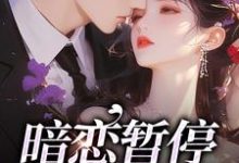 暗恋暂停，开始恋爱小说的免费阅读版本在哪里可以找到？-够力荐小说推荐网