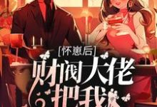 完结版《怀崽后,财阀大佬把我娶回家》章节阅读-够力荐小说推荐网