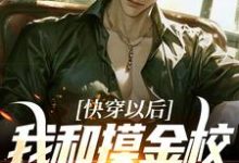 《快穿以后，我和摸金校尉称兄道弟》小说苏亦凡章节章节免费在线阅读-够力荐小说推荐网