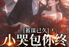 蓄谋已久,小哭包你终于是我的了小说,蓄谋已久,小哭包你终于是我的了免费阅读-够力荐小说推荐网