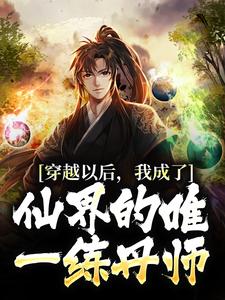 穿越以后，我成了仙界的唯一练丹师小说无弹窗阅读的网站推荐