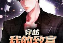 《穿越:我的致富之路不入刑》小说沈易姜磊章节章节免费在线阅读-够力荐小说推荐网