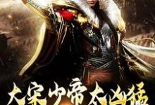 小说《大宋少帝太凶猛，胡虏跪求放过》章节免费阅读-够力荐小说推荐网