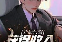 开局代驾,获得收入十万倍奖励!许宁,开局代驾,获得收入十万倍奖励!在线无弹窗阅读-够力荐小说推荐网