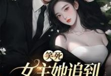 笑死,女主她追到一半不追了小说有没有完结版在线?-够力荐小说推荐网