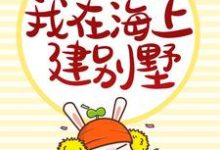 《内卷丧命后，我在海上建别墅》小说章节列表免费试读，陆星辰小说在线阅读-够力荐小说推荐网