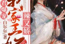 已完结小说《邪君爆宠：我家王妃辣又娇》章节在线阅读-够力荐小说推荐网