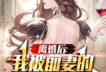 完整版的离婚后:我被前妻的天后闺蜜倒追小说在哪里可以免费读到?-够力荐小说推荐网