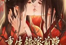 重生错嫁前晚,我找上前夫他爹苏蒹葭沈鹤亭,重生错嫁前晚,我找上前夫他爹小说免费阅读-够力荐小说推荐网
