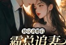 《协议离婚后,霸总追妻火葬场》小说章节在线试读,《协议离婚后,霸总追妻火葬场》最新章节目录-够力荐小说推荐网