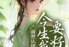 前世认错良人,今生我誓要好嫁小说,前世认错良人,今生我誓要好嫁在线阅读-够力荐小说推荐网