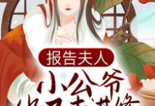 已完结小说《报告夫人，小公爷他又去进修男德了》最新章节-够力荐小说推荐网