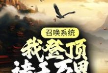 召唤系统:我登顶诸天万界小说,召唤系统:我登顶诸天万界章节在线阅读-够力荐小说推荐网