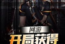 小说《网游：开局获得SSS级天赋》章节免费阅读-够力荐小说推荐网