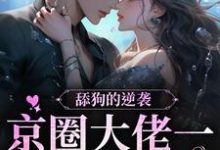 舔狗的逆袭：京圈大佬一直暗恋我小说全文阅读需要付费吗？寻找免费资源-够力荐小说推荐网