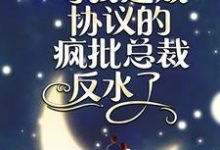 完结版《闪婚夜,与我达成协议的疯批总裁反水了》章节阅读-够力荐小说推荐网