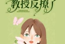 《暗恋无果后,她被清冷教授反撩了》小说章节列表免费试读,黎焰冉清宵小说在线阅读-够力荐小说推荐网