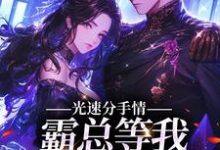 光速分手，霸总等我给名分小说，光速分手，霸总等我给名分在线阅读-够力荐小说推荐网