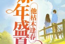 那年盛夏,他枯木逢春小说完结版章节免费阅读-够力荐小说推荐网