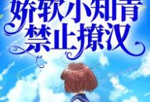 七零建设忙,娇软小知青禁止撩汉苏青禾顾承安,七零建设忙,娇软小知青禁止撩汉章节在线阅读-够力荐小说推荐网