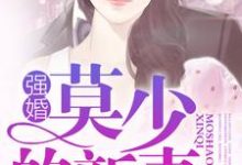 小说《强婚：莫少的新妻》章节阅读-够力荐小说推荐网