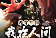 小说《魂穿神仙,我在人间装疯卖傻》章节免费阅读-够力荐小说推荐网
