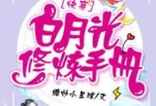 白月光修炼手册小说，白月光修炼手册最新章节-够力荐小说推荐网