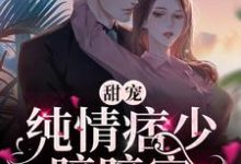 甜宠:纯情痞少暗暗宠小说有没有完结版在线?-够力荐小说推荐网