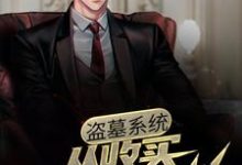 已完结小说《盗墓系统:从收买岳绮罗开始》在线章节阅读-够力荐小说推荐网