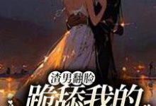 渣男翻脸，跪舔我的时候忘了？林雾声谈则序小说免费阅读-够力荐小说推荐网