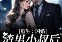 完结版《重生:闪婚渣男小叔后,她赢麻了》章节阅读-够力荐小说推荐网