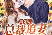 离婚后,总裁追妻有点甜这本小说怎么样?免费在线阅读试试-够力荐小说推荐网