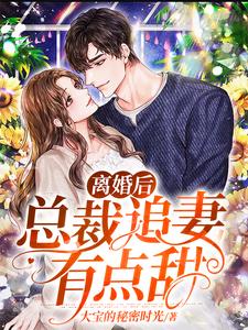 离婚后，总裁追妻有点甜这本小说怎么样？免费在线阅读试试