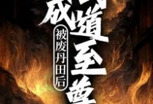 小说《被废丹田后,我成武道至尊》在线章节阅读-够力荐小说推荐网