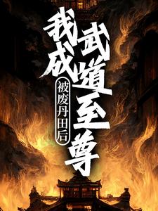 小说《被废丹田后，我成武道至尊》在线章节阅读