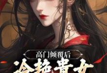 已完结小说《高门倾覆后,冷艳贵女人人可欺》在线章节阅读-够力荐小说推荐网