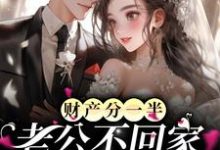 完结版《财产分一半,老公不回家?这好事啊》免费阅读-够力荐小说推荐网