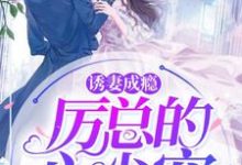 小说《诱妻成瘾:厉总的心尖宠》在线章节阅读-够力荐小说推荐网