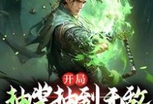 在线免费阅读开局抽奖抽到无敌，这还玩吗？完整小说-够力荐小说推荐网