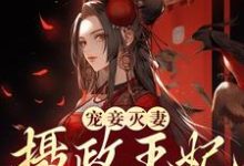宠妾灭妻?摄政王妃她不干了免费阅读,宠妾灭妻?摄政王妃她不干了章节目录-够力荐小说推荐网