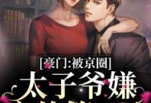 豪门：被京圈太子爷嫌弃的第n天小说有没有完结版在线？-够力荐小说推荐网