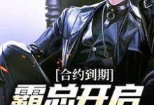 陈秋夏南栀小说叫什么(合约到期,霸总开启强势追妻免费阅读)-够力荐小说推荐网