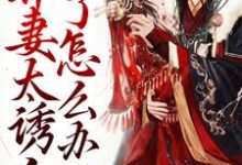带球跑：弃妻太诱人了怎么办章节免费在线阅读，安然丁长赫完结版-够力荐小说推荐网