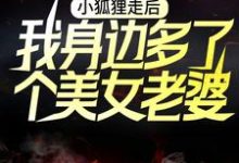 完整版的小狐狸走后,我身边多了个美女老婆小说在哪里可以免费读到?-够力荐小说推荐网