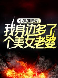 完整版的小狐狸走后，我身边多了个美女老婆小说在哪里可以免费读到？